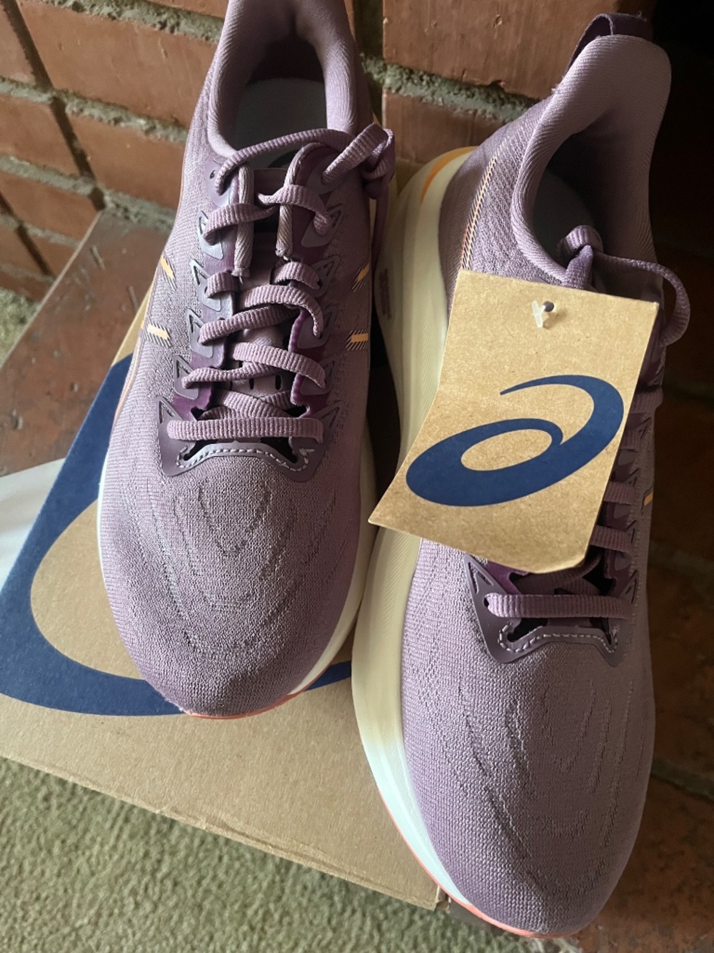 Asics Womens GT 2000 13 Running Shoes Size 9 brand new w/tags mauve dusty rose